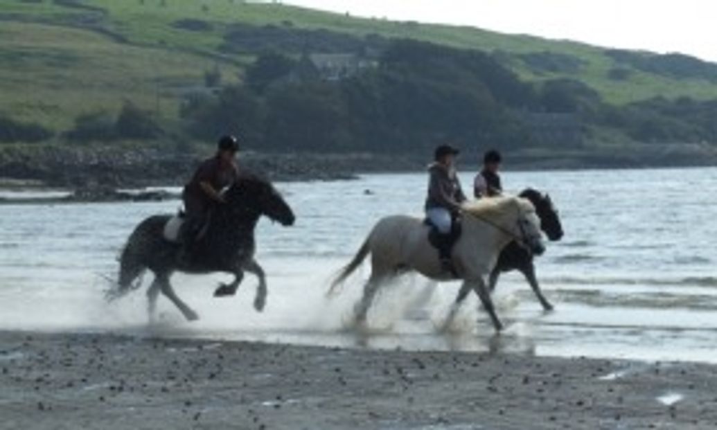 Brighouse Bay Trekking
