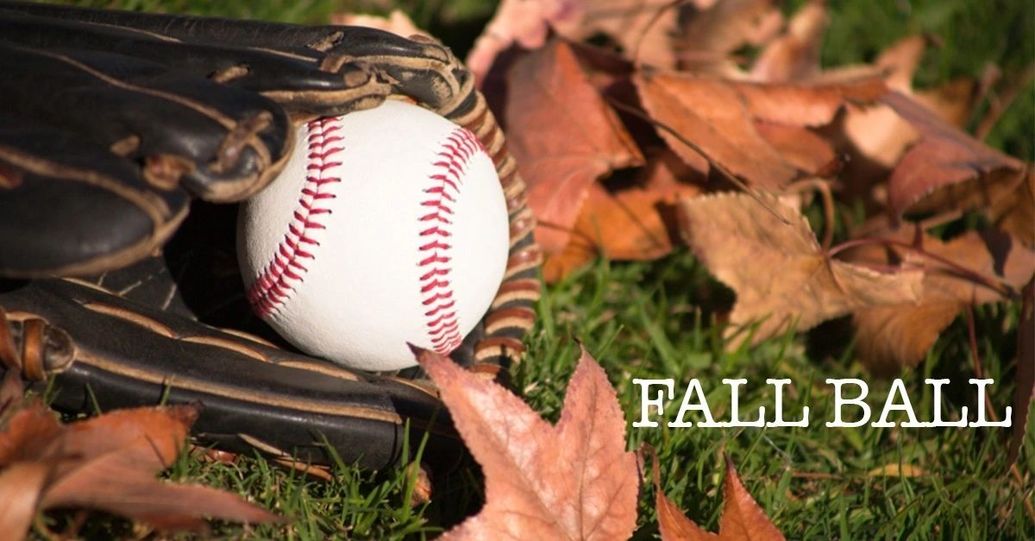 Burnaby Valkyries Girls Baseball Program