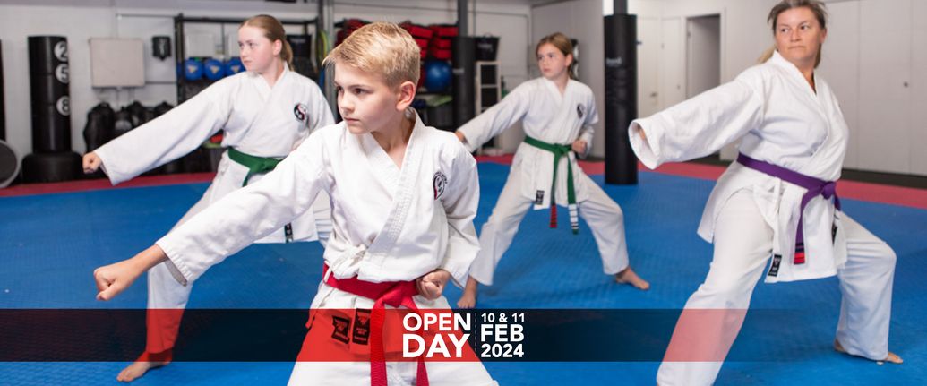 Annual Open Day Martial Arts Festival