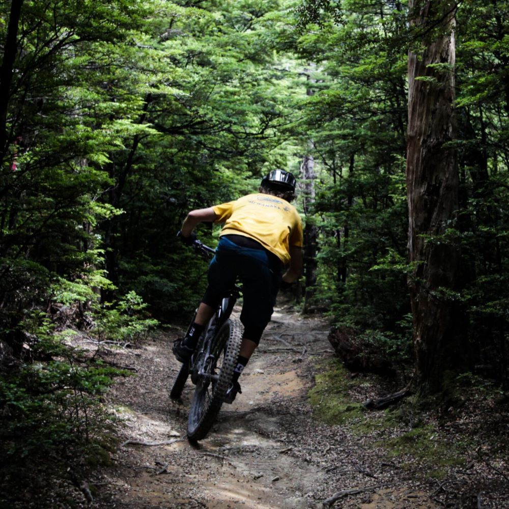 Mountain Bike Shuttles