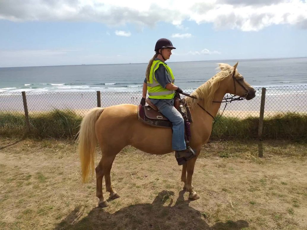 Hilary Equine Centre