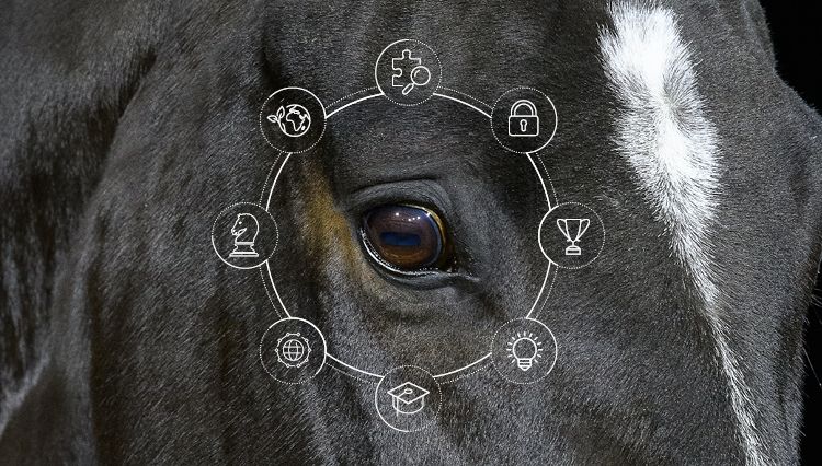 Cavalier préparateur de jeunes chevaux