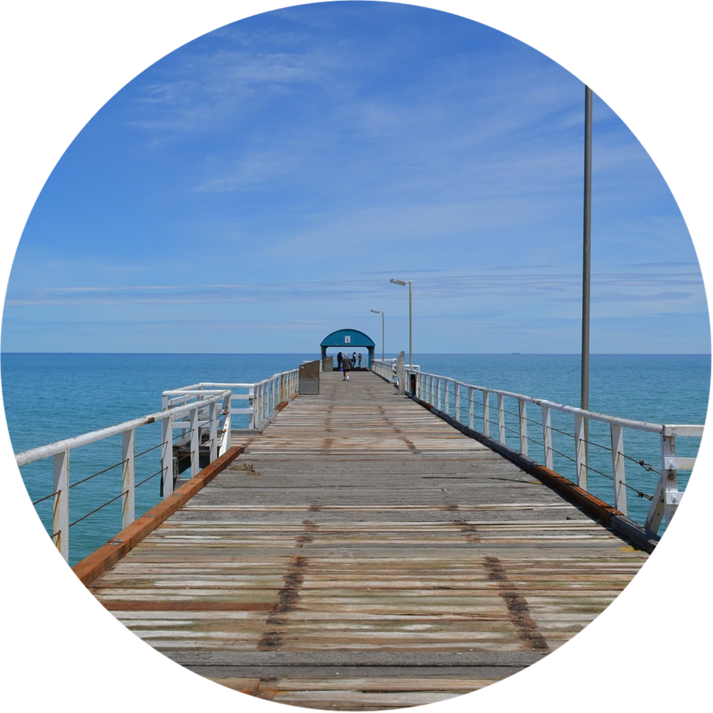 Strike 1 Fishing Charters