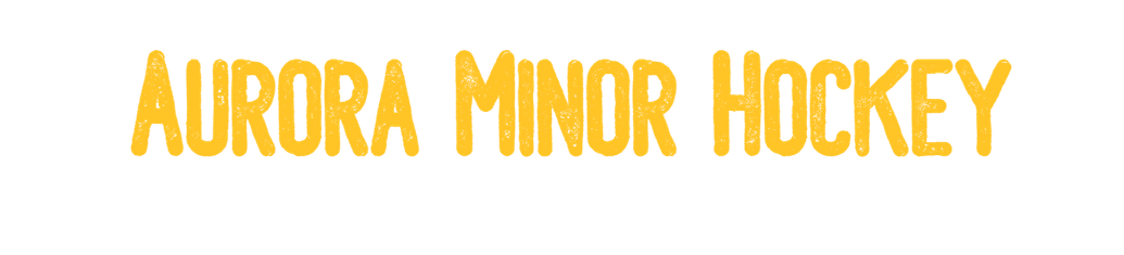 2024 - 2025 Tryout Passport (Aurora Minor Hockey)