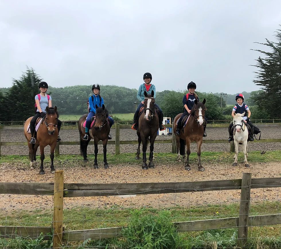 Trotters Riding School and Livery Yard