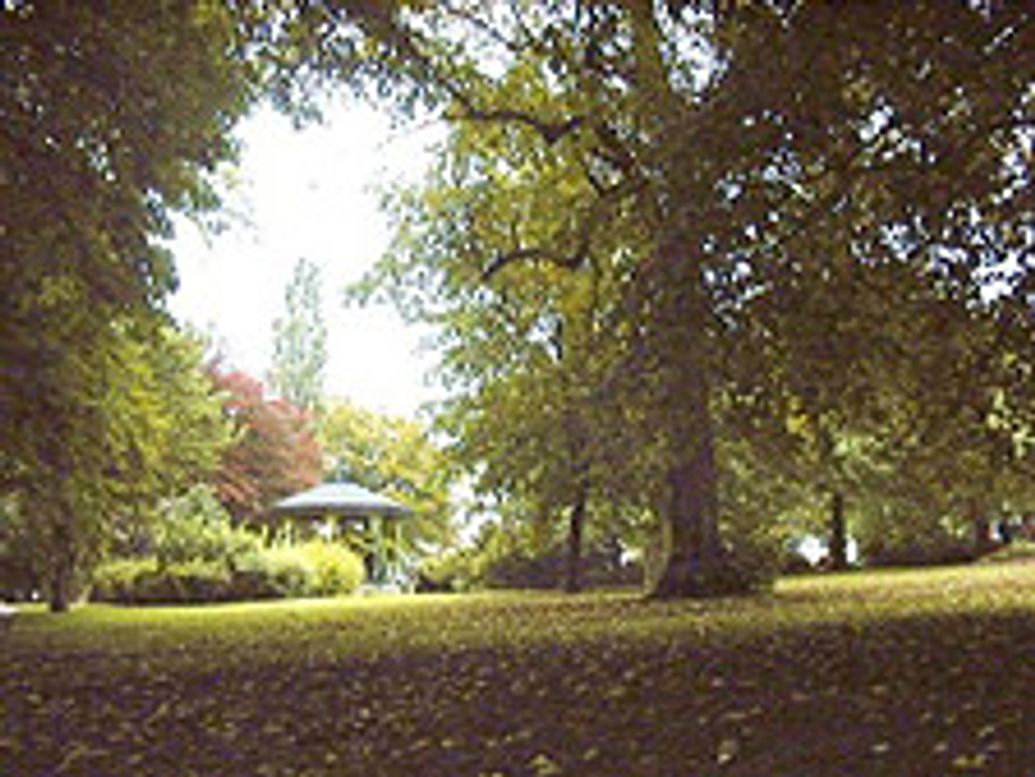 Green Spaces for Wellbeing