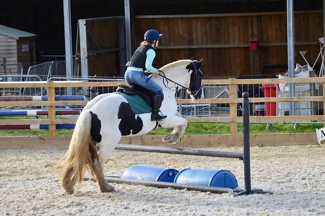 Inadown Farm Riding Stables