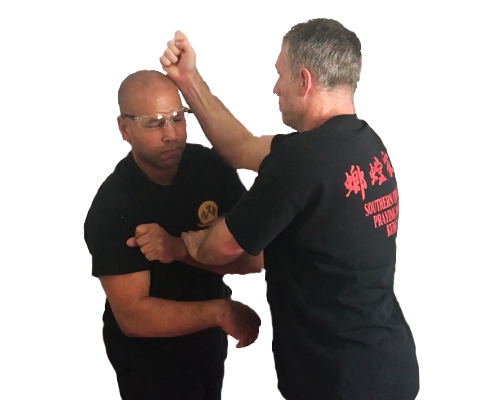 Chow Gar Southern Praying Mantis Kung Fu