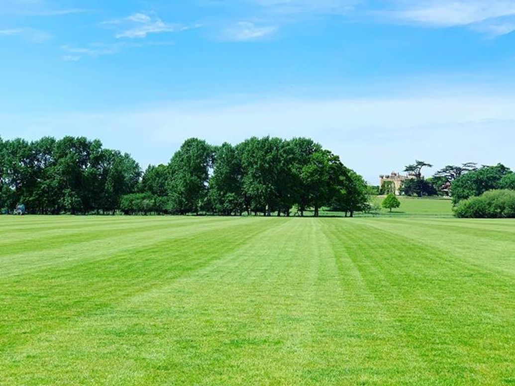 Polo Lessons at Knepp Castle Polo Club