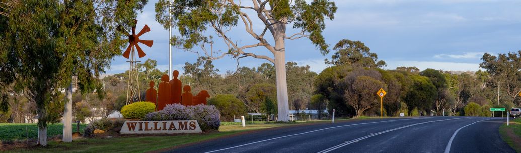 Williams Monthly Markets