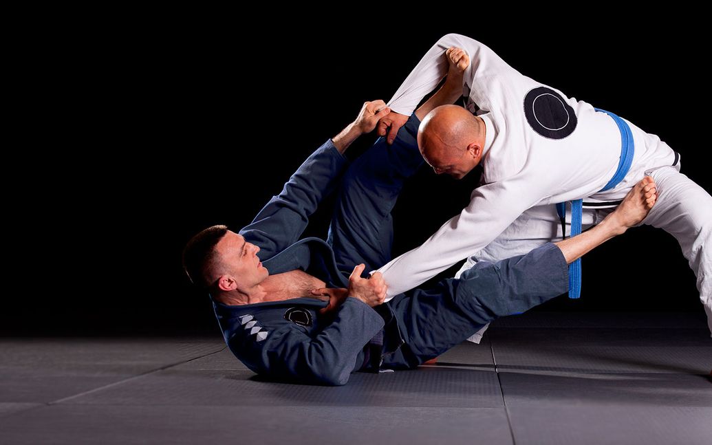 Muga Mushin Ryu Ju-Jitsu School