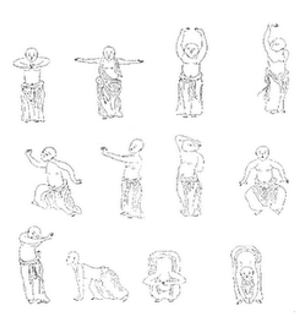 Tai Chi / Chi Kung / Hsing I