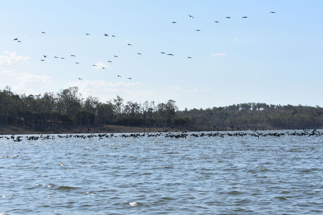 The Mondy Man Fishing Charters