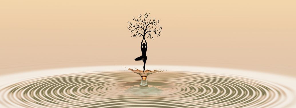 Silent Mindfulness Retreat