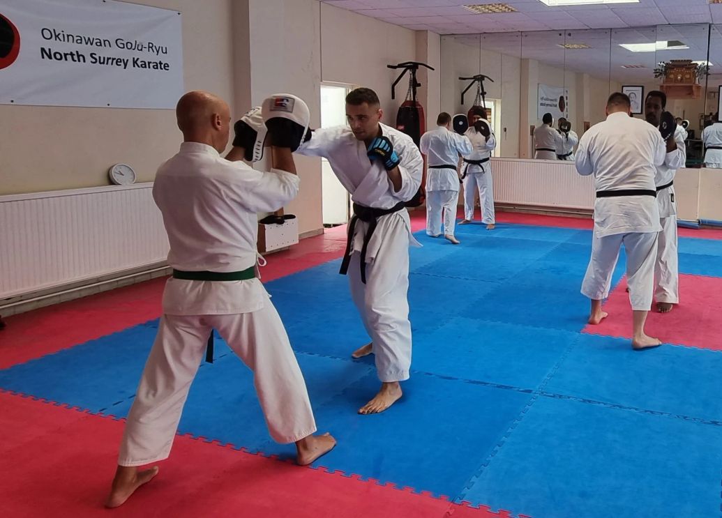 Adult Karate Classes