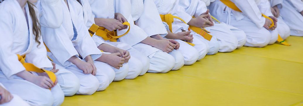Champion Taekwondo Classes Registration