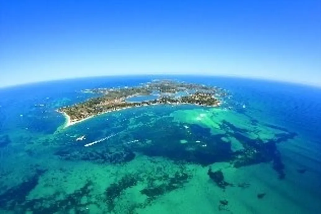 Rottnest Island Double Boat Dive