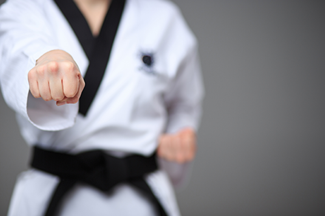 MUDO Martial Arts Afterschool Pick Up & Care Program