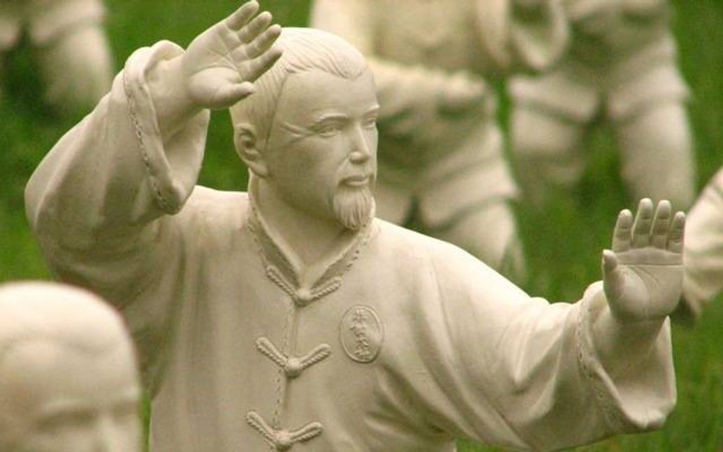 Tai Chi and Qi Gong for Rehabilitation and Well-Being (8-day course)