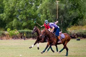 Gap Year Polo