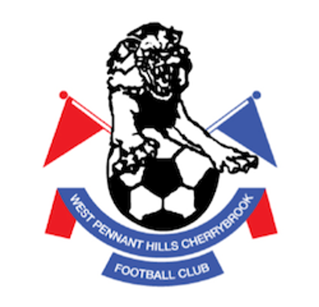 Playing Football with the Lions in 2024