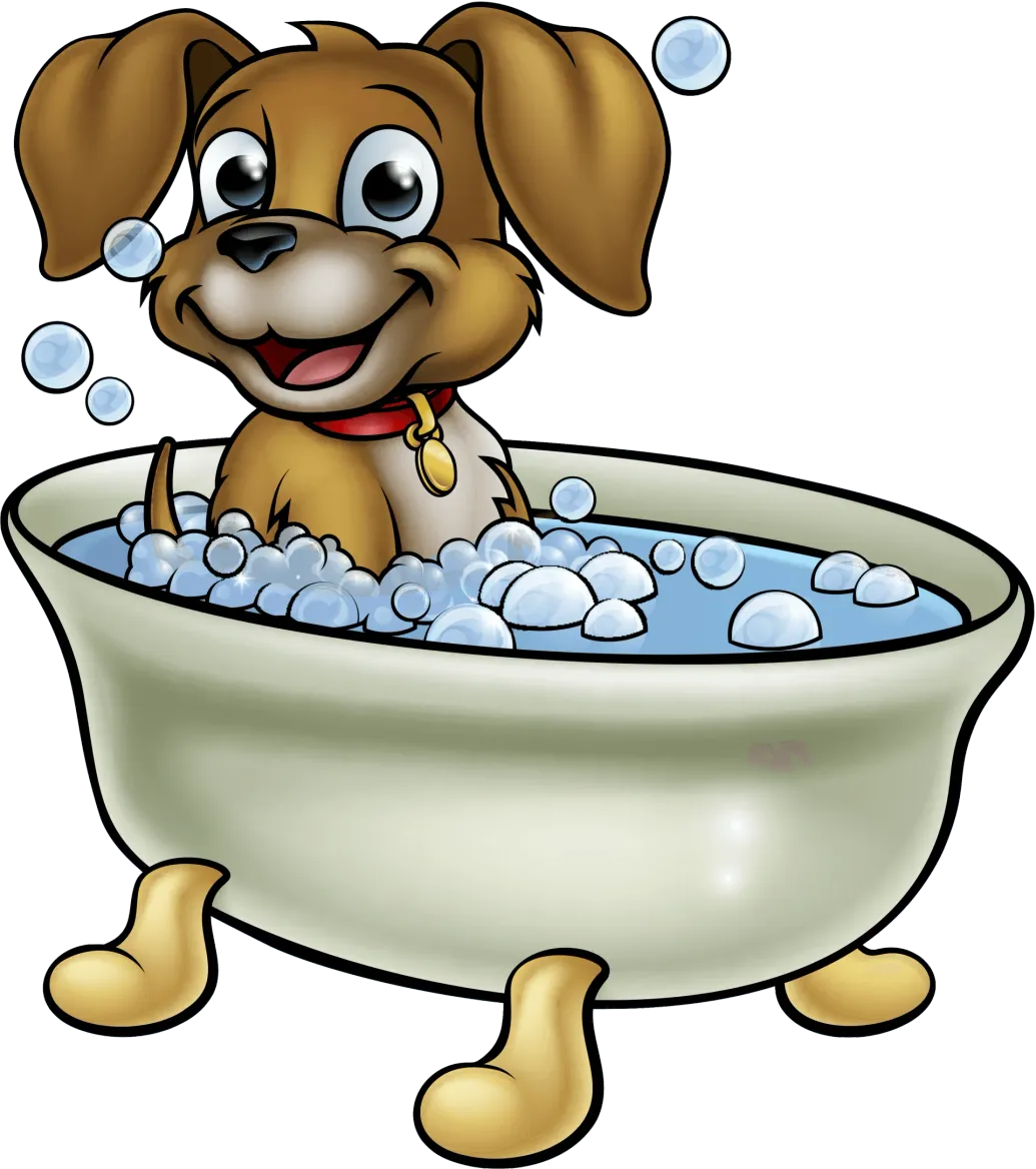 Kennels Dog Kennels