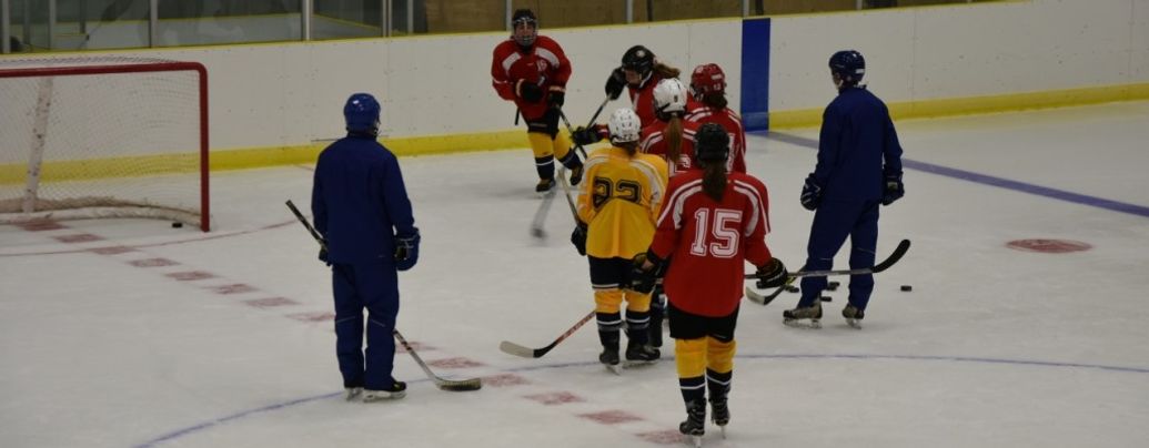 Lethbridge Summer Goalie Camp