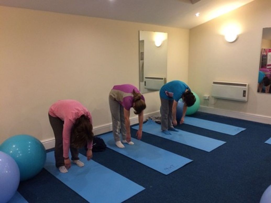 Biomechanics in Balance Camps