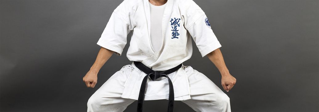 Seido Karate Nelson