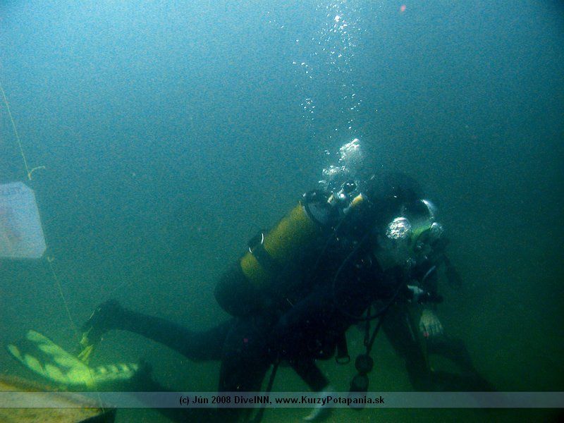 PADI Specialty Course - AWARE Fish Identification