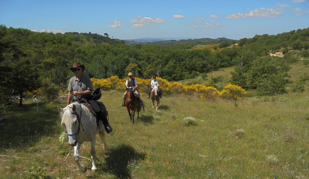 SAVOIE : AUTOUR DU MONT BLANC A CHEVAL