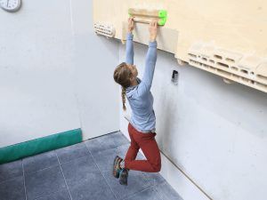 Remote Climbing Assessment