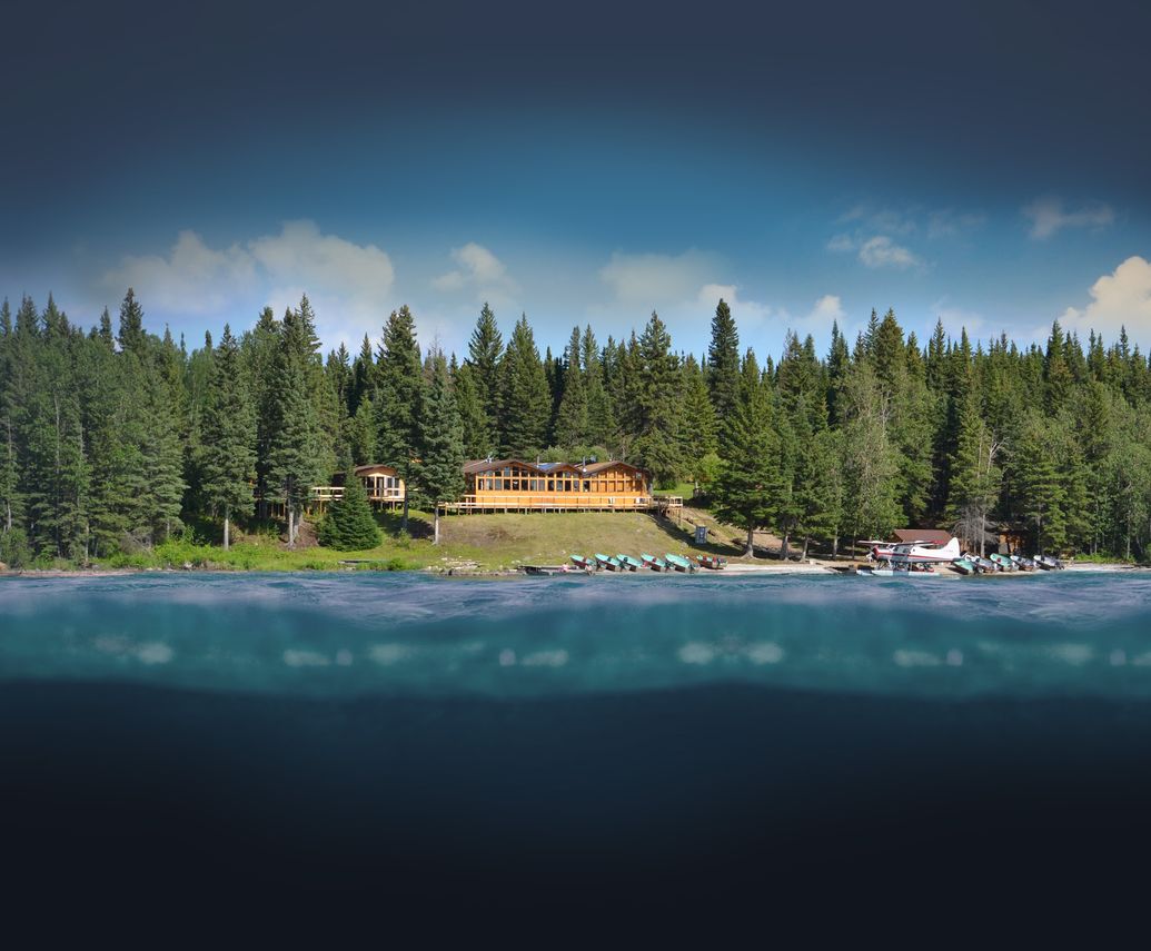 Black Bear Hunting at Burntwood Lake Lodge