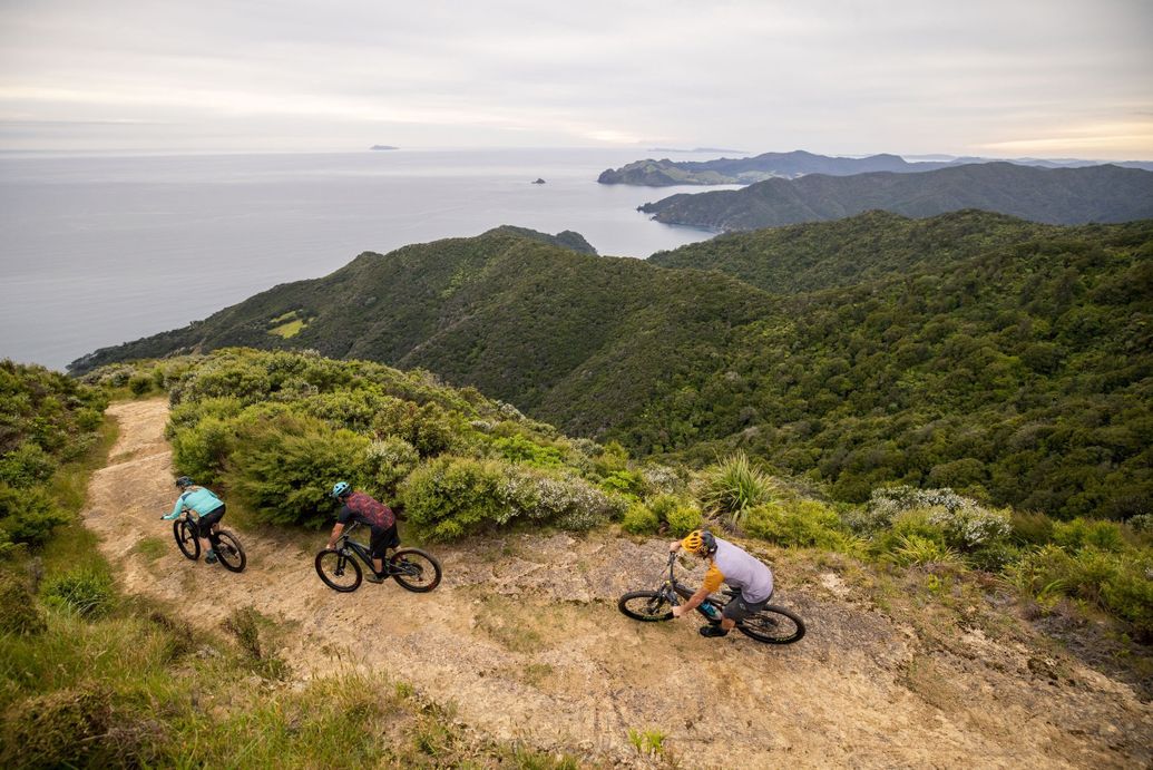 Single Trails in Cross Country Bike Park