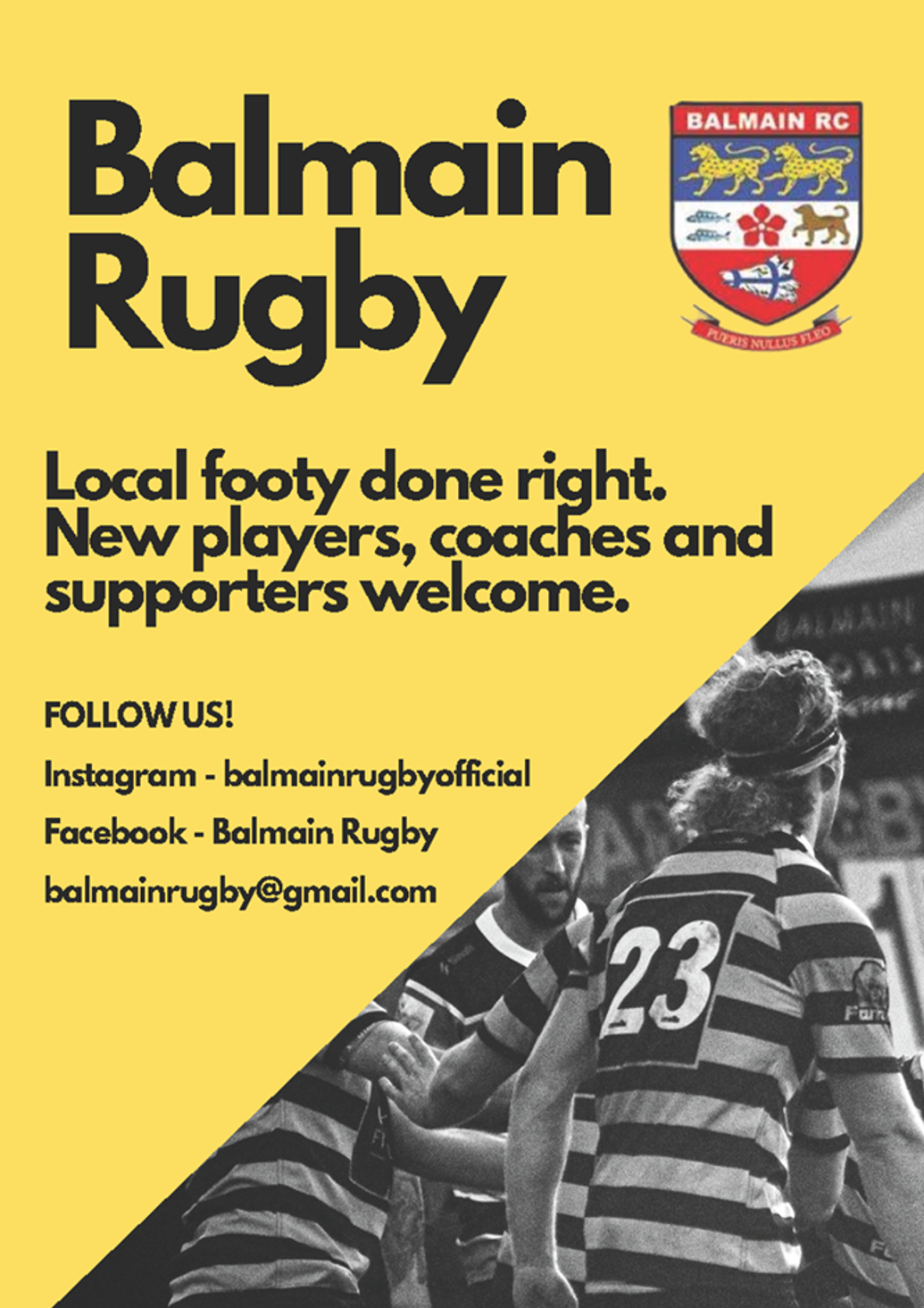 Join Today Seniors balmainrugby
