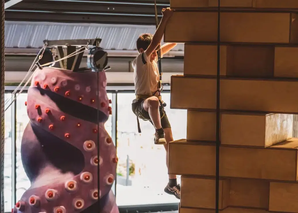 Crazy Climb Party