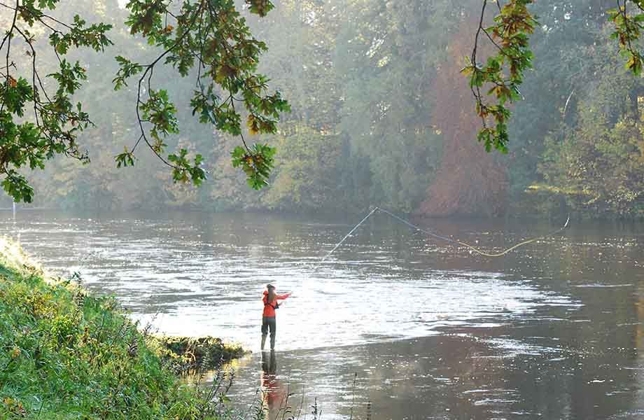 Meikleour Fishings - Boat and Bank Fishing