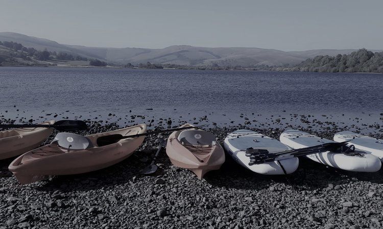 SUP Expedition, Forage & Forest Bathing