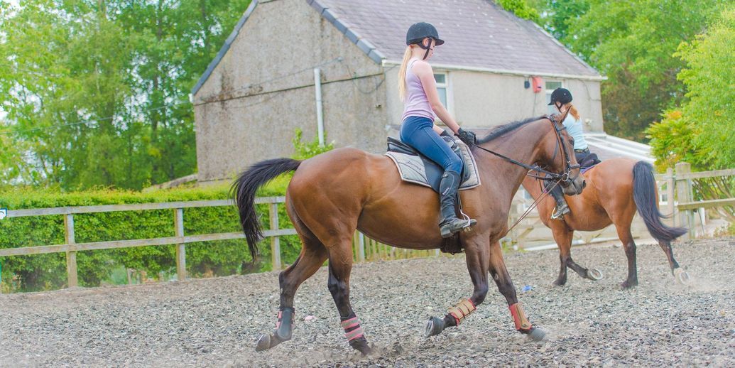 Snowdonia Riding Stables See Snowdonia From The Saddle 2 Hour Viewpoint Ride