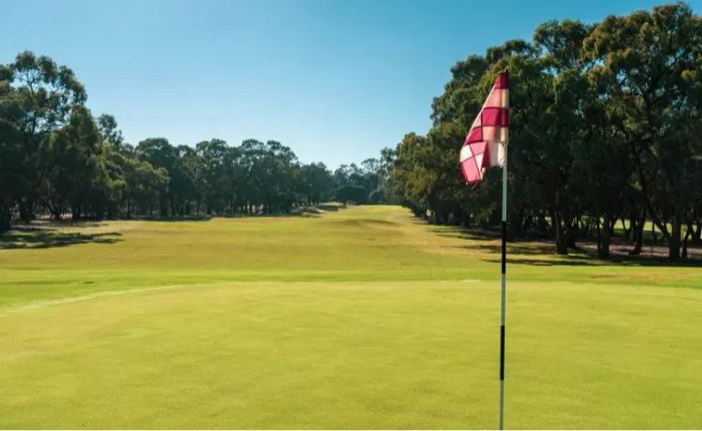 CluBarham Bowls