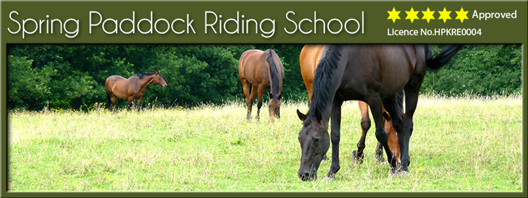 Spring Paddock Riding School