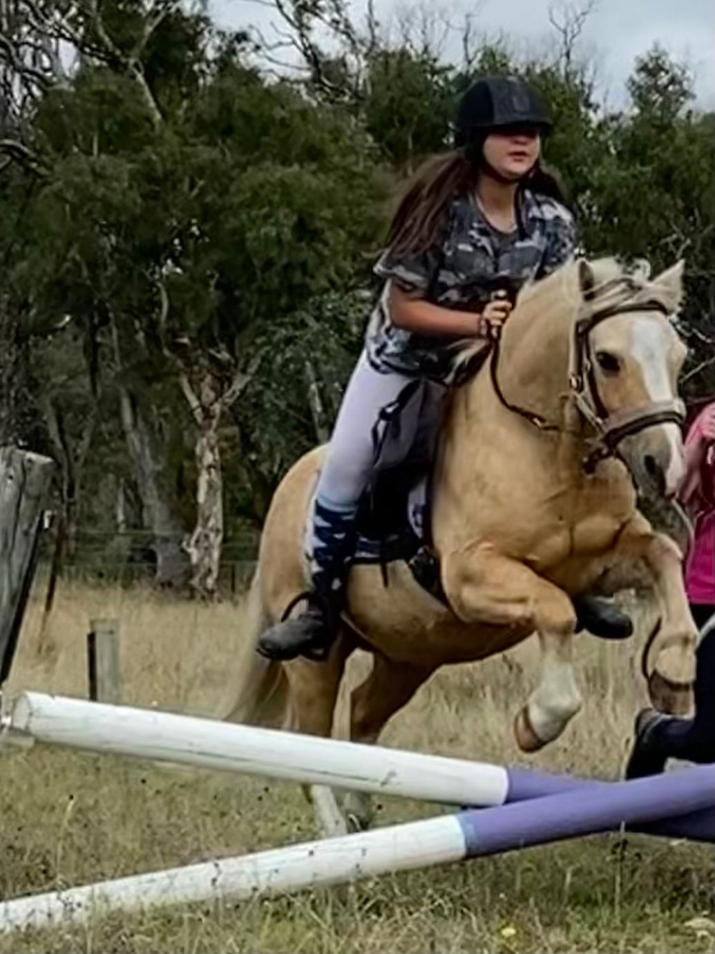 The Saddle Camp