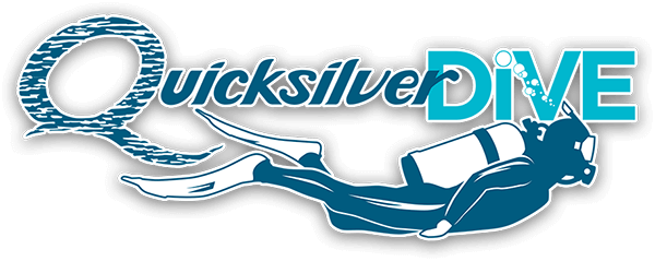 4-Day Learn to Dive with Quicksilver Dive