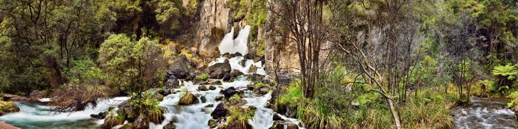 Tarawera Ultramarathon