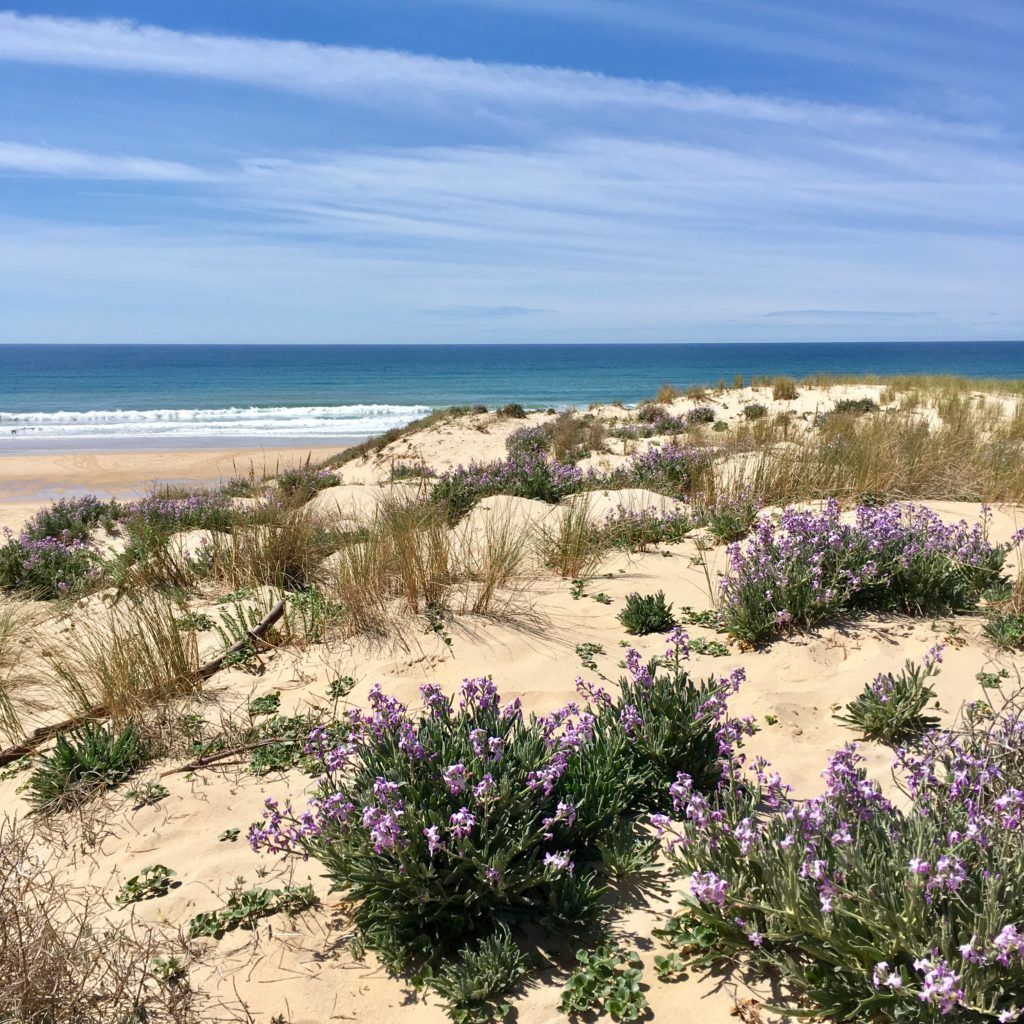 Surfcamp pour adolescents du 7 au 13 juillet 2024