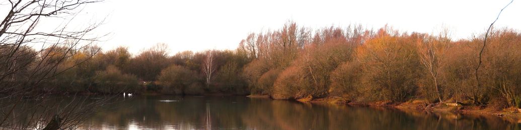 Colchester Angling Preservation Society