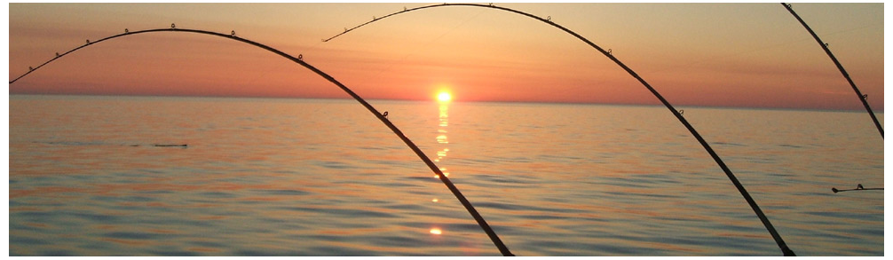 PEI Deep Sea Fishing Charters at Covehead Harbor