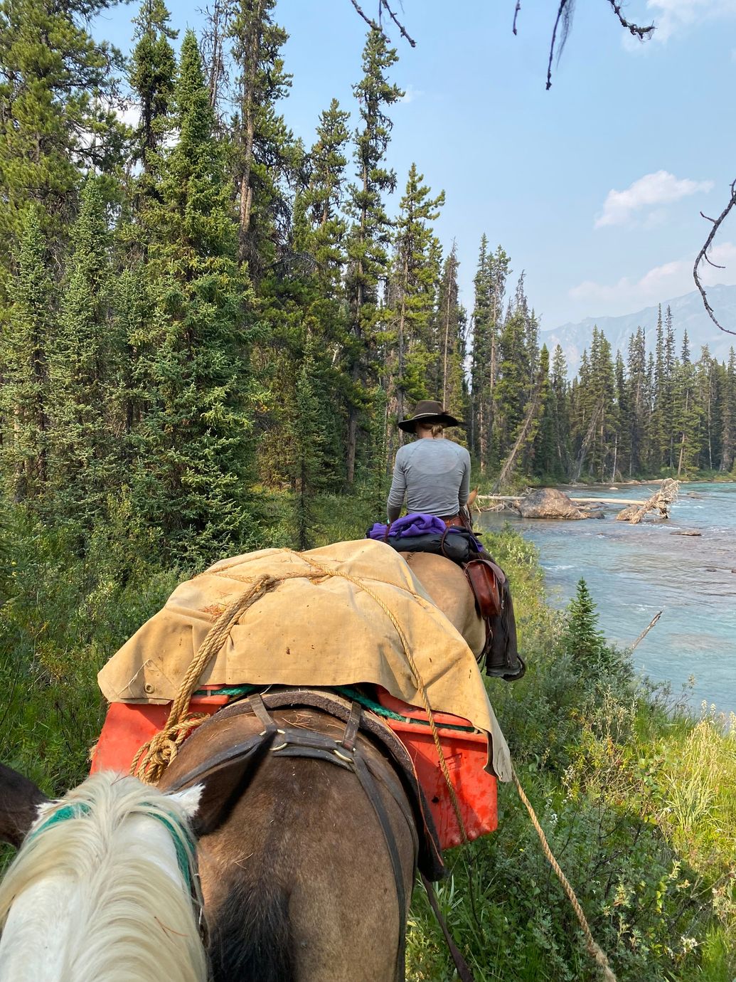 Moose River Pack Trips