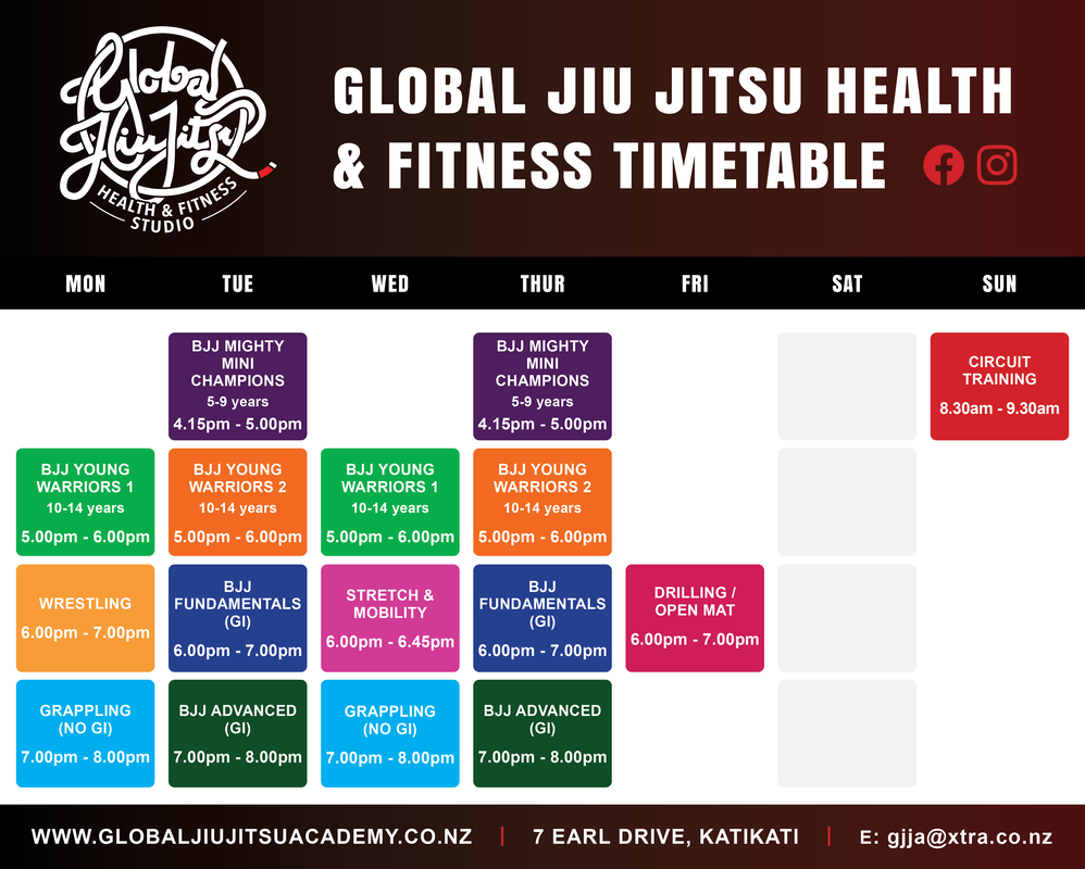 Brazilian Jiu-Jitsu Fundamentals