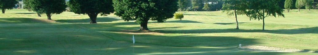 GOLF LESSONS